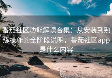 番茄社区功能解读合集：从安装到熟练操作的全阶段说明，番茄社区app是什么内容