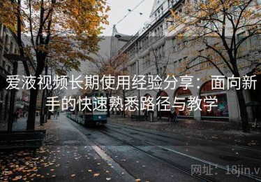 爱液视频长期使用经验分享：面向新手的快速熟悉路径与教学