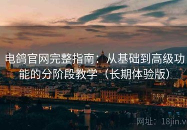 电鸽官网完整指南：从基础到高级功能的分阶段教学（长期体验版）
