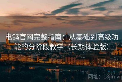 电鸽官网完整指南：从基础到高级功能的分阶段教学（长期体验版）