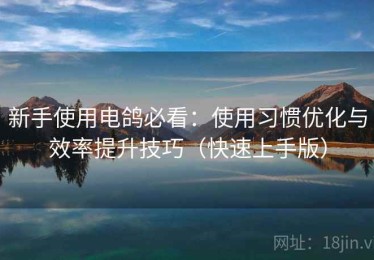 新手使用电鸽必看：使用习惯优化与效率提升技巧（快速上手版）