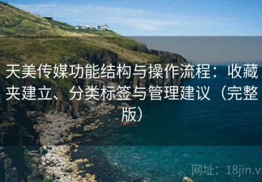 天美传媒功能结构与操作流程：收藏夹建立、分类标签与管理建议（完整版）