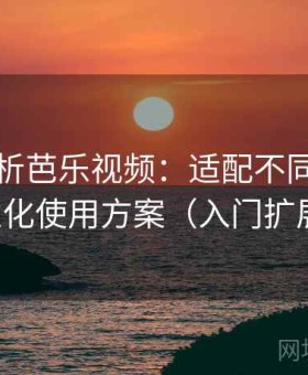 全面剖析芭乐视频：适配不同人群的个性化使用方案（入门扩展版）