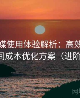 花季传媒使用体验解析：高效浏览技巧与时间成本优化方案（进阶用户版）