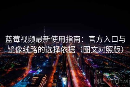 蓝莓视频最新使用指南：官方入口与镜像线路的选择依据（图文对照版）