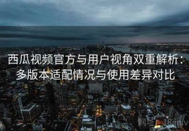 西瓜视频官方与用户视角双重解析：多版本适配情况与使用差异对比