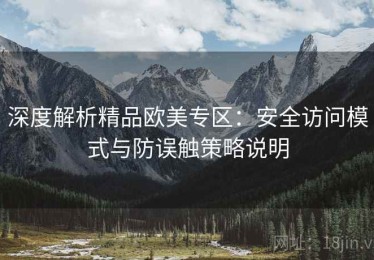 深度解析精品欧美专区：安全访问模式与防误触策略说明