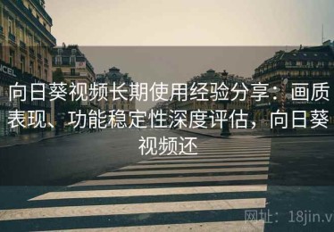 向日葵视频长期使用经验分享：画质表现、功能稳定性深度评估，向日葵视频还