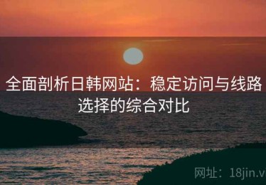 全面剖析日韩网站：稳定访问与线路选择的综合对比