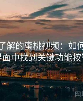 你必须了解的蜜桃视频：如何在复杂界面中找到关键功能按钮