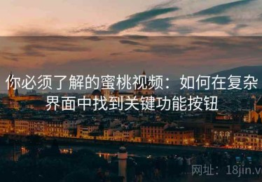 你必须了解的蜜桃视频：如何在复杂界面中找到关键功能按钮