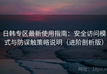 日韩专区最新使用指南：安全访问模式与防误触策略说明（进阶剖析版）