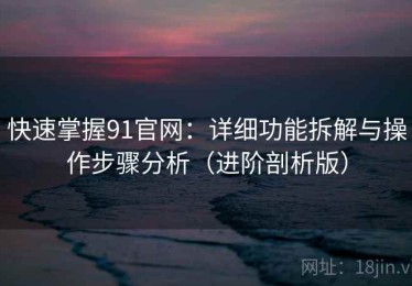 快速掌握91官网：详细功能拆解与操作步骤分析（进阶剖析版）