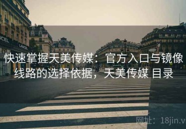 快速掌握天美传媒：官方入口与镜像线路的选择依据，天美传媒 目录