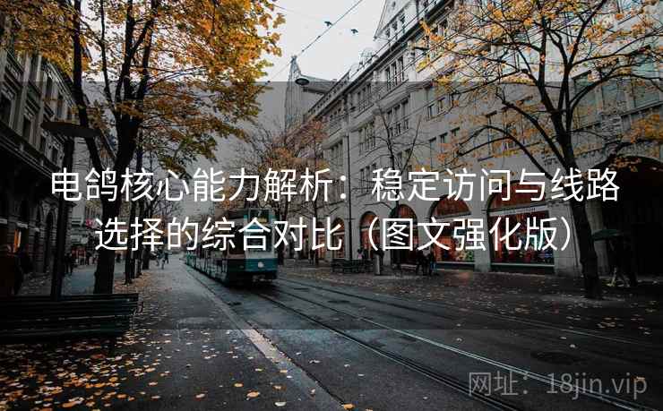 电鸽核心能力解析：稳定访问与线路选择的综合对比（图文强化版）