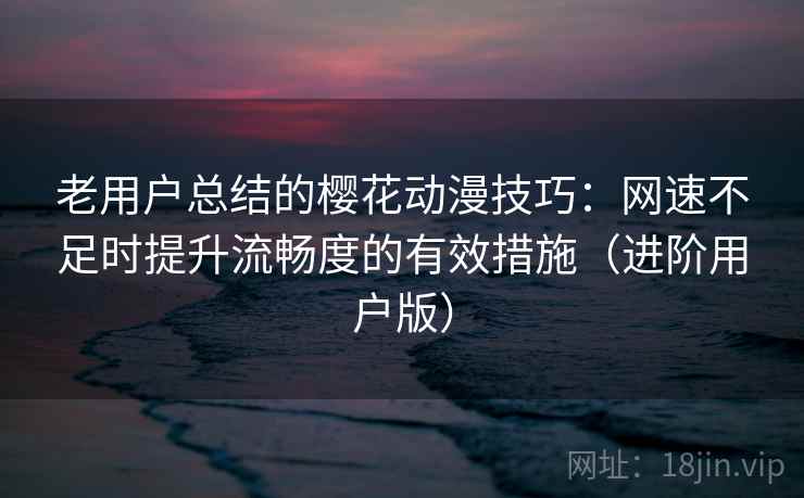 老用户总结的樱花动漫技巧：网速不足时提升流畅度的有效措施（进阶用户版）