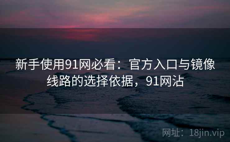 新手使用91网必看：官方入口与镜像线路的选择依据，91网沾