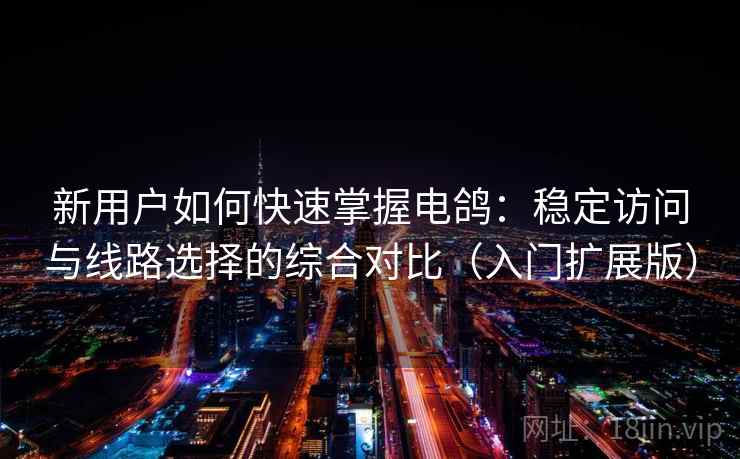 新用户如何快速掌握电鸽：稳定访问与线路选择的综合对比（入门扩展版）