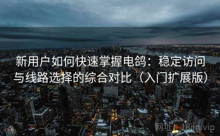 新用户如何快速掌握电鸽：稳定访问与线路选择的综合对比（入门扩展版）
