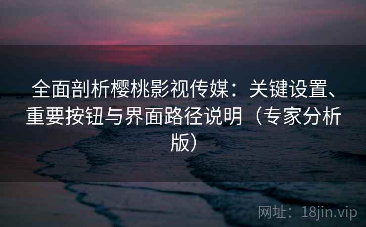 全面剖析樱桃影视传媒：关键设置、重要按钮与界面路径说明（专家分析版）
