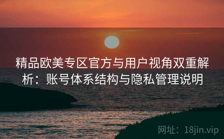 精品欧美专区官方与用户视角双重解析：账号体系结构与隐私管理说明
