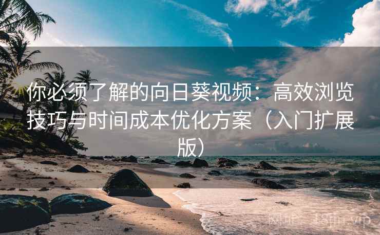 你必须了解的向日葵视频：高效浏览技巧与时间成本优化方案（入门扩展版）