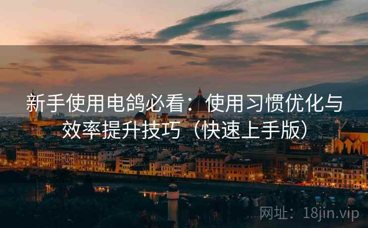 新手使用电鸽必看:使用习惯优化与效率提升技巧(快速上手版) 新手使用电鸽必看:使用习惯优化与效率提升技巧(快速上手版)