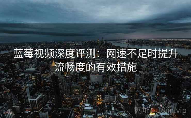 蓝莓视频深度评测：网速不足时提升流畅度的有效措施