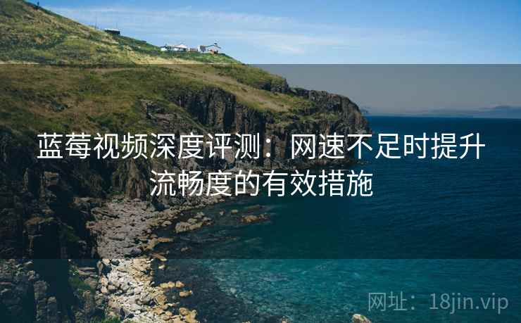 蓝莓视频深度评测：网速不足时提升流畅度的有效措施