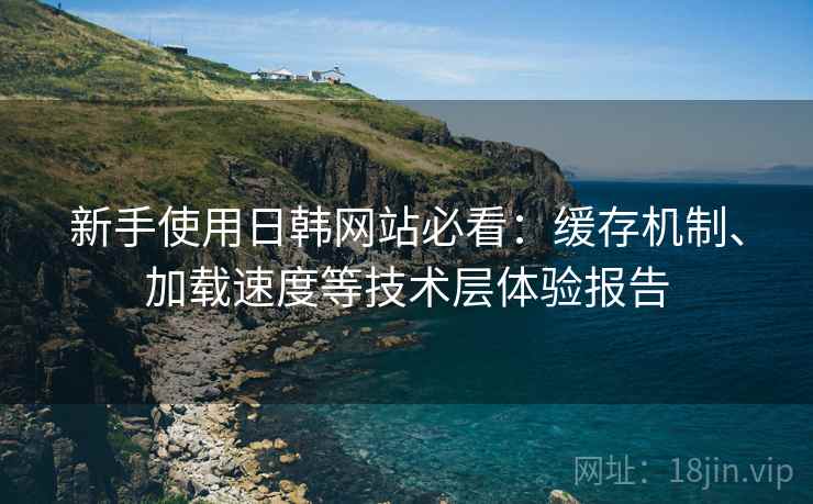 新手使用日韩网站必看：缓存机制、加载速度等技术层体验报告
