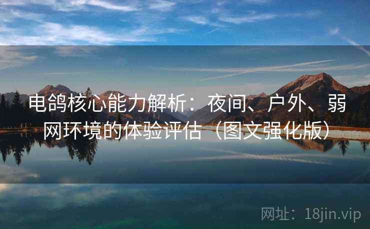电鸽核心能力解析：夜间、户外、弱网环境的体验评估（图文强化版）