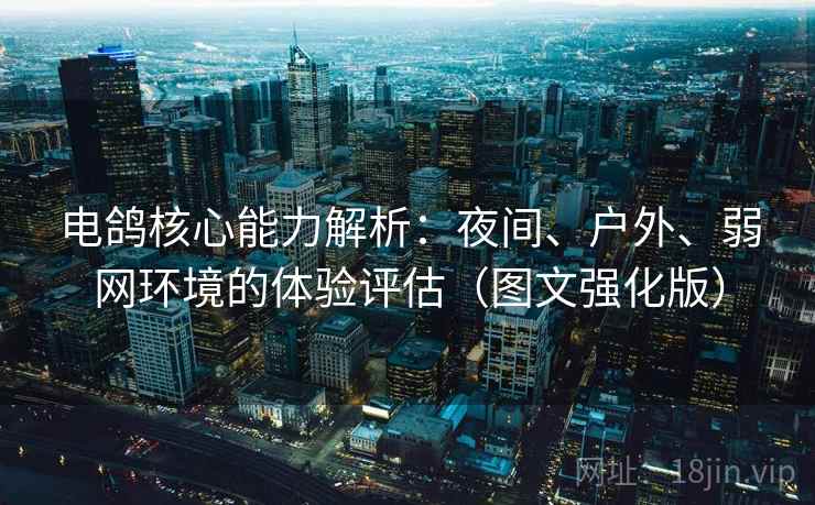 电鸽核心能力解析：夜间、户外、弱网环境的体验评估（图文强化版）