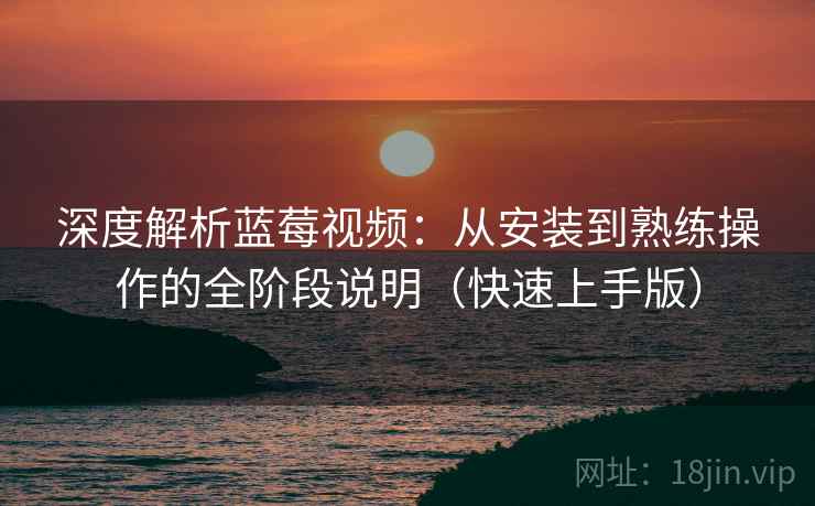 深度解析蓝莓视频：从安装到熟练操作的全阶段说明（快速上手版）