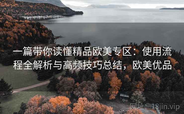 一篇带你读懂精品欧美专区:使用流程全解析与高频技巧总结,欧美优品 一篇带你读懂精品欧美专区:使用流程全解析与高频技巧总结,欧美优品